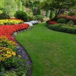 Lawn-Care-and-Maintenance-Tips-1